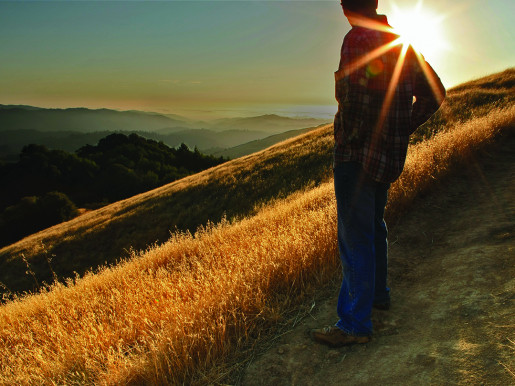 Online Workshop: Understanding Grief - 10/03/2026